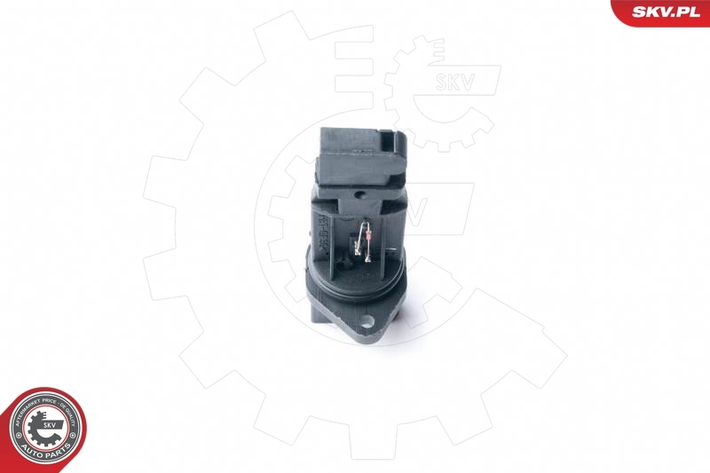 Mass Air Flow Sensor